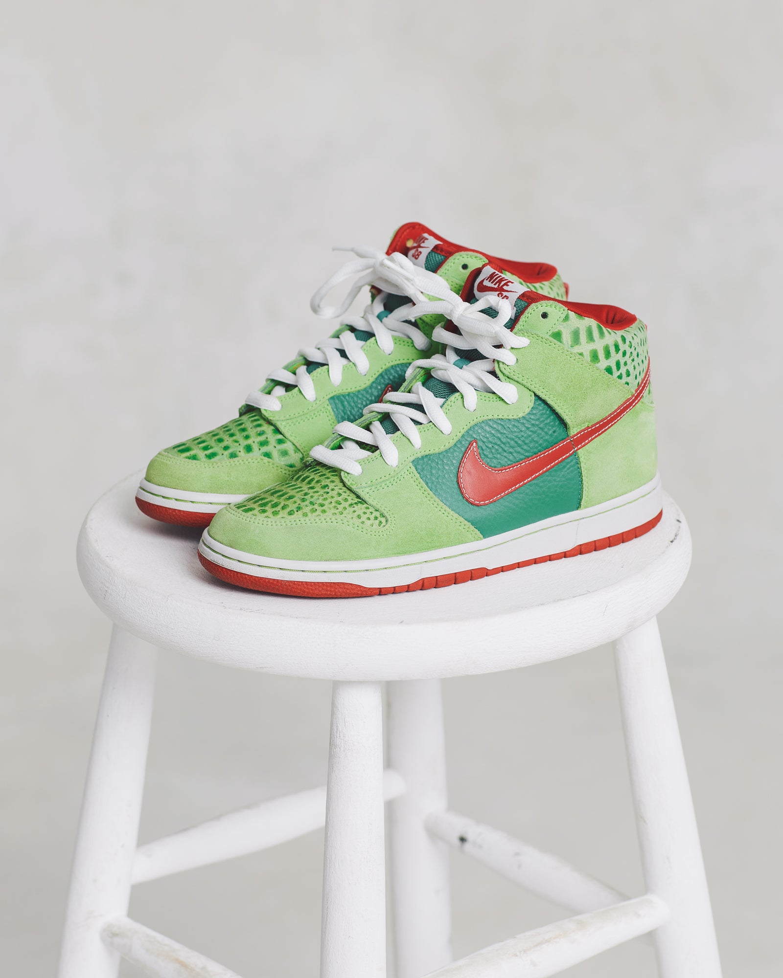 Nike Dunk SB Dr. Feelgood (9)