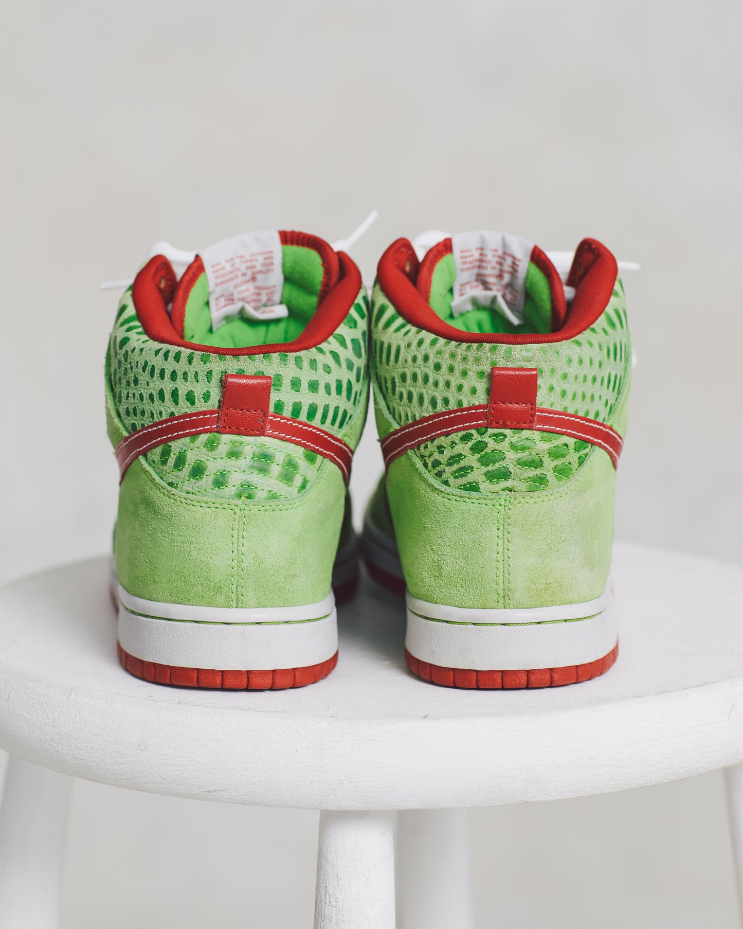 Nike Dunk SB Dr. Feelgood (9)
