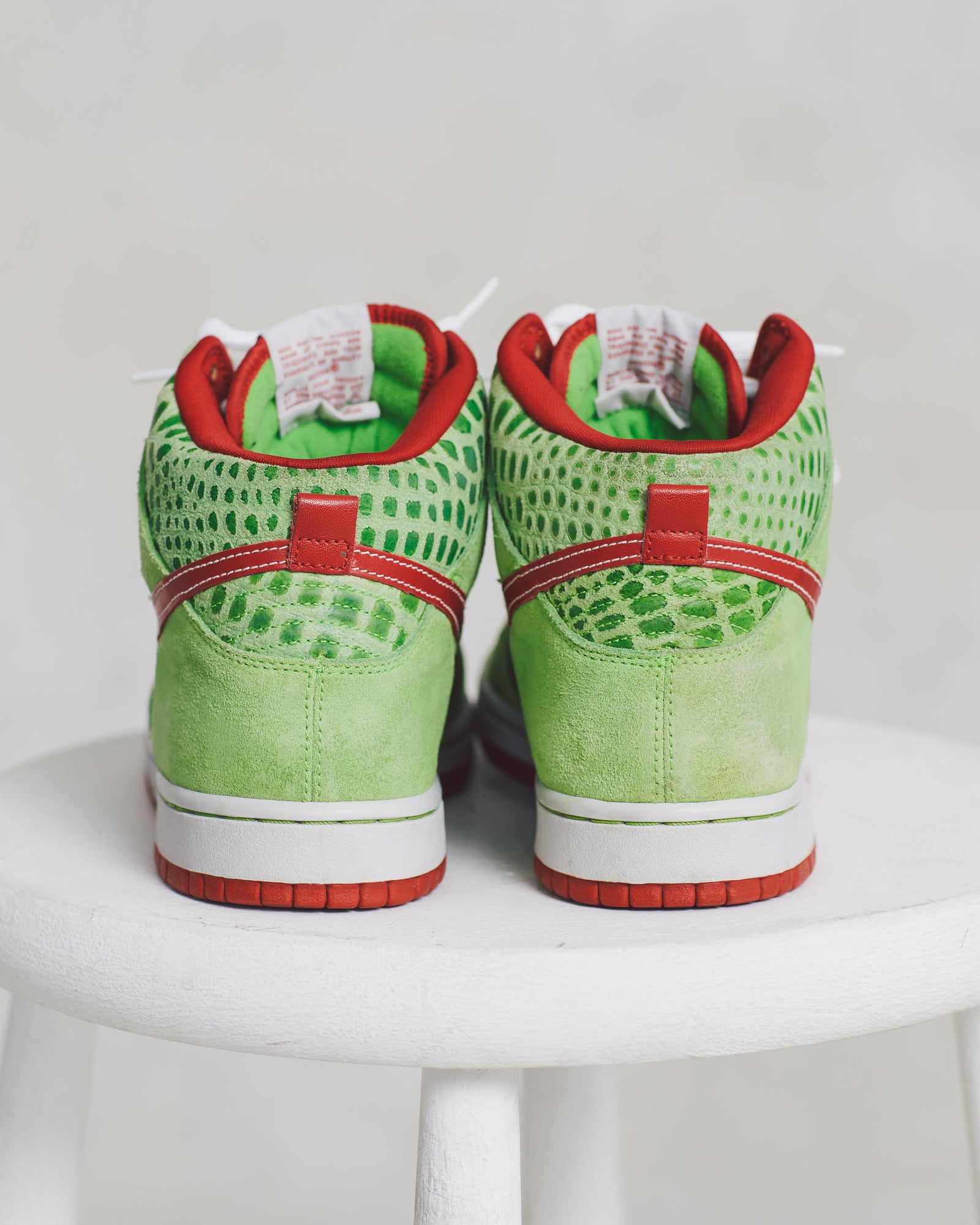 Nike Dunk SB Dr. Feelgood (9)