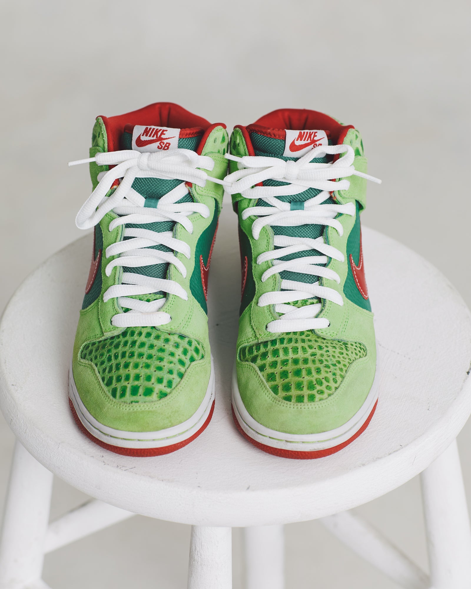 Nike Dunk SB Dr. Feelgood (9)