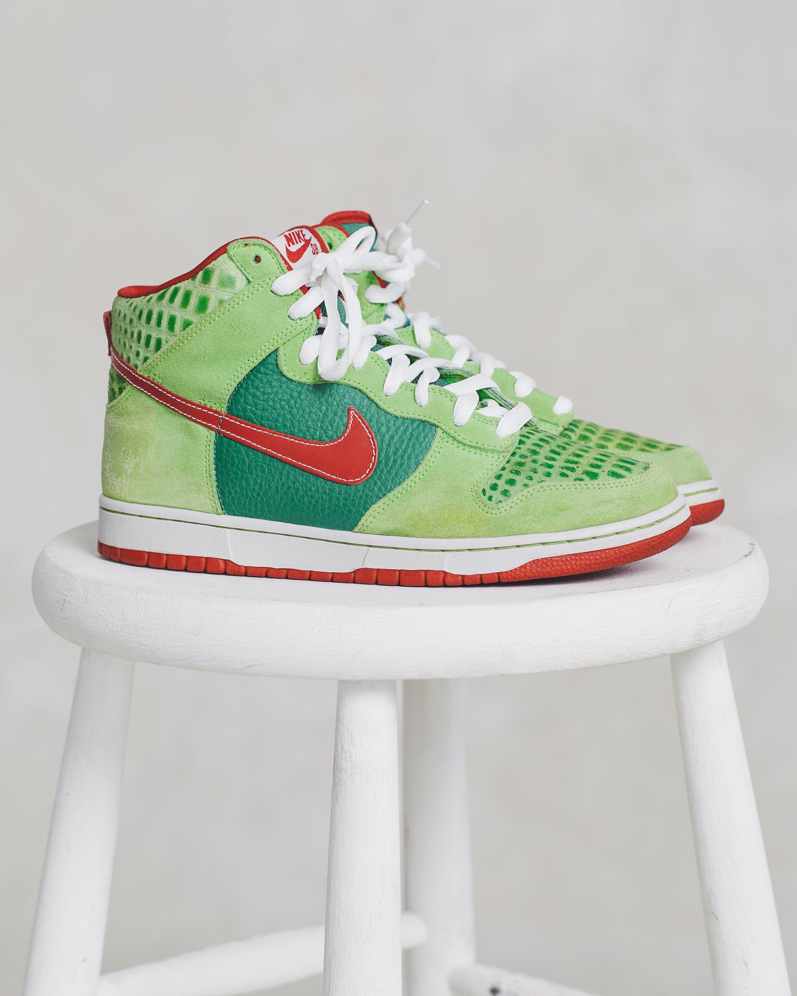 Nike Dunk SB Dr. Feelgood (9)