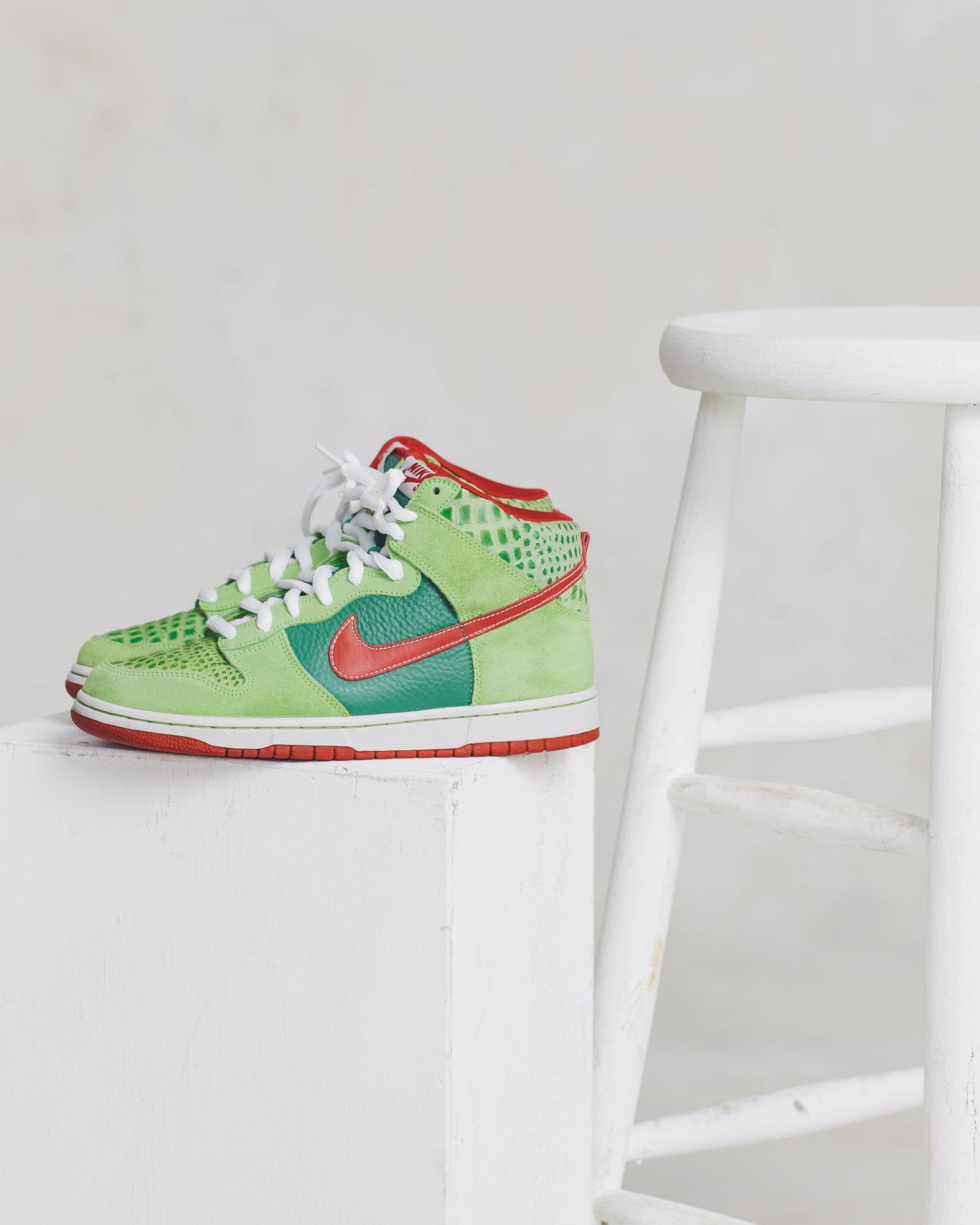 Nike Dunk SB Dr. Feelgood (9)