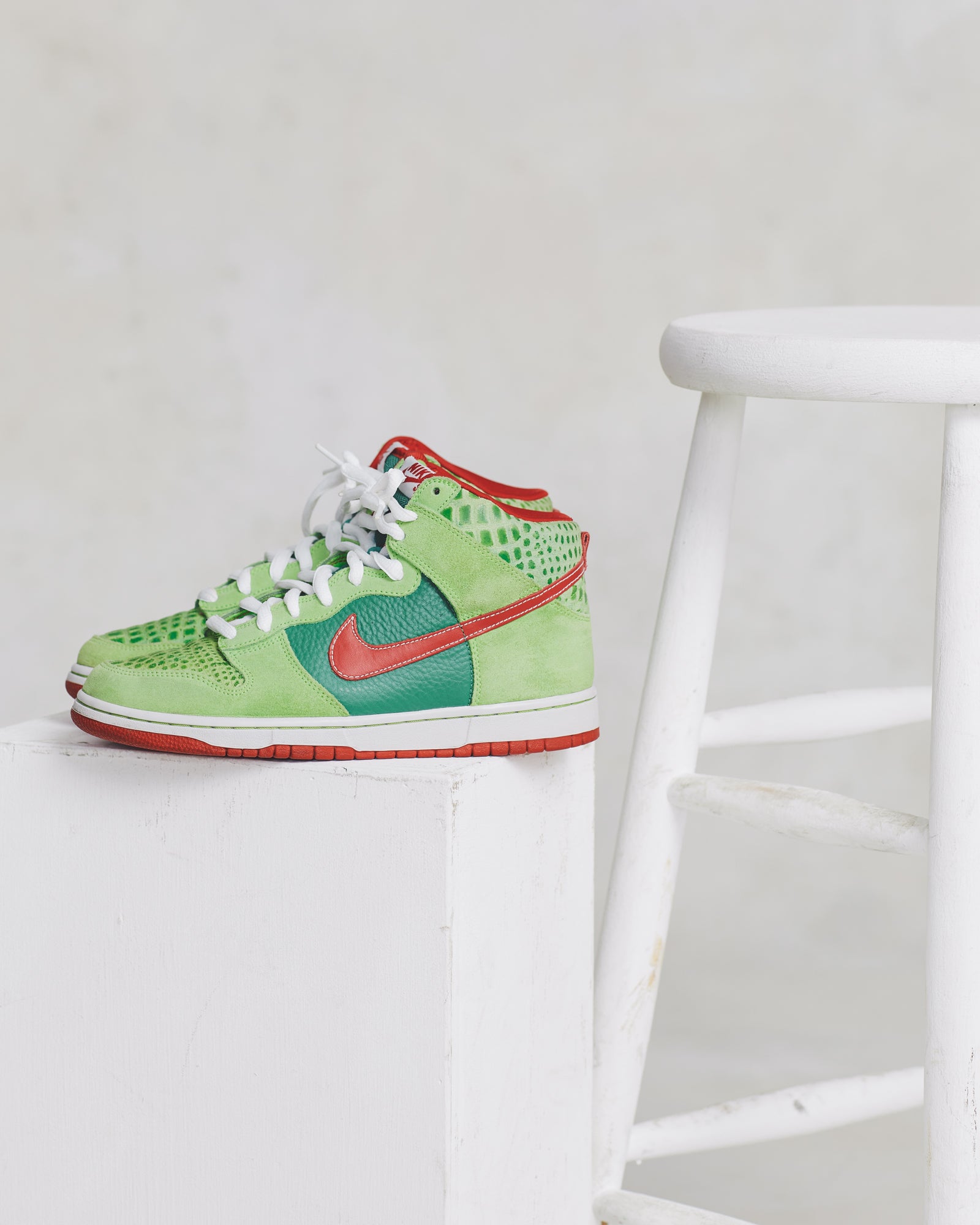 Nike Dunk SB Dr. Feelgood (9)
