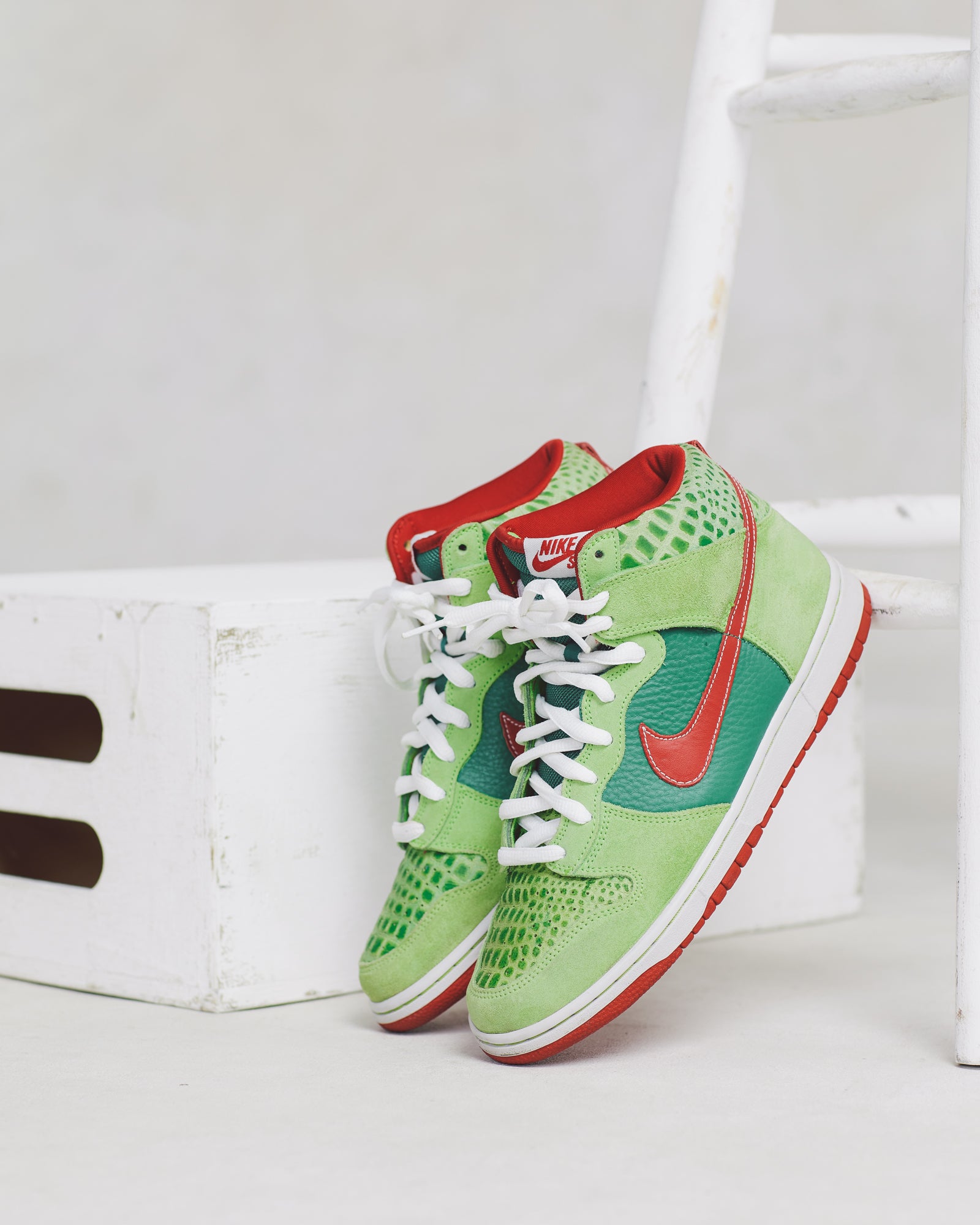 Nike Dunk SB Dr. Feelgood (9)